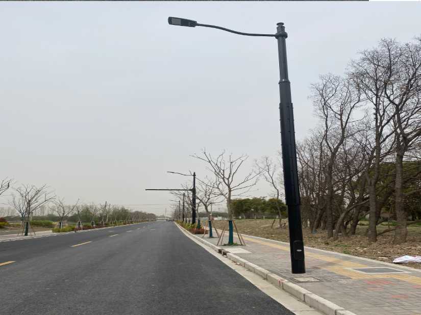 咸丰县上海综合杆 太阳能路灯工程